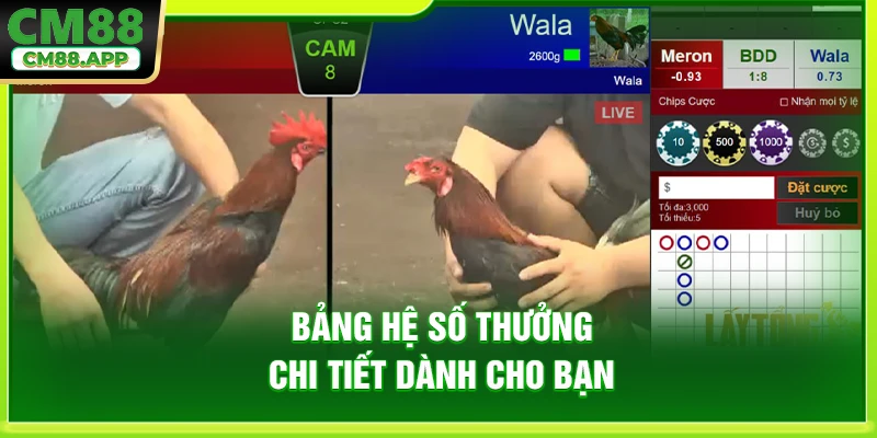 Bảng hệ số thưởng chi tiết dành cho bạn