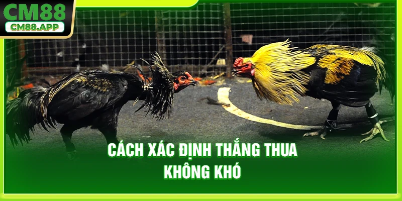 Cách xác định thắng thua không khó