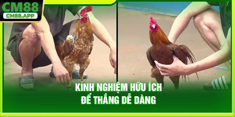 Kinh nghiệm hữu ích để thắng dễ dàng
