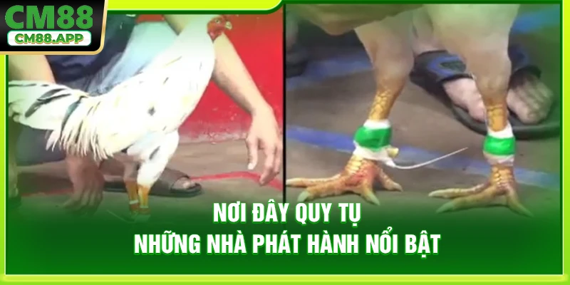 Nơi đây quy tụ những nhà phát hành nổi bật