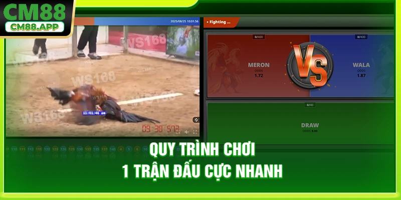 Quy trình chơi 1 trận đấu cực nhanh