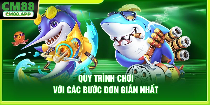 Quy trình chơi với các bước đơn giản nhất
