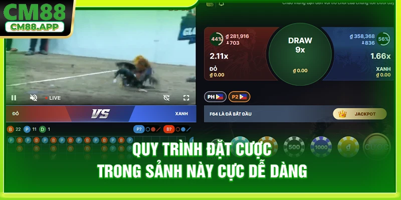 Quy trình đặt cược trong sảnh này cực dễ dàng